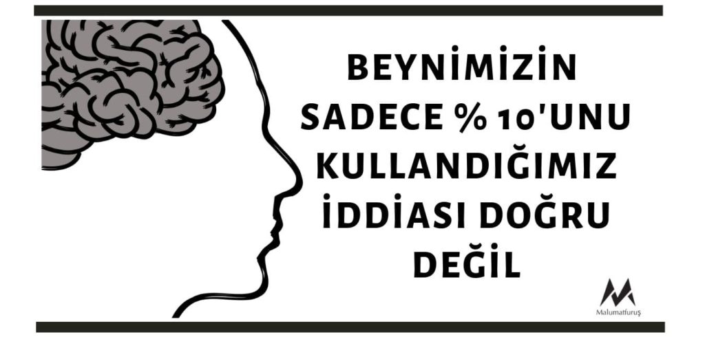 Beynimizin Sadece Yüzde 10'unu Kullandığımız İddiası - Malumatfuruş