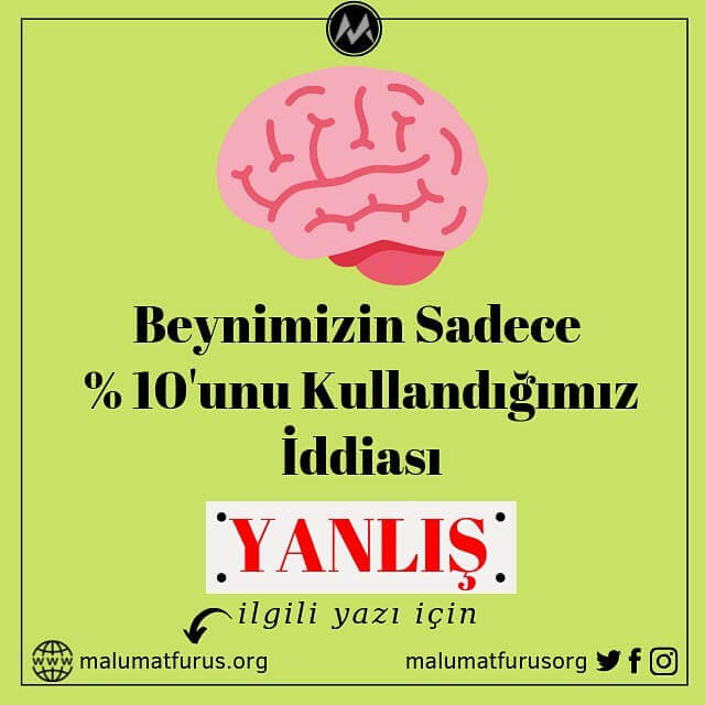 Beynimizin Sadece Yüzde 10'unu Kullandığımız İddiası - Malumatfuruş